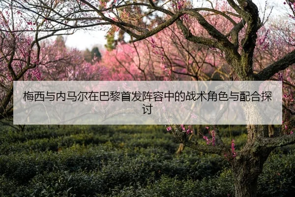 梅西与内马尔在巴黎首发阵容中的战术角色与配合探讨